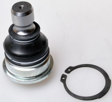 Шаровая опора перед. ниж. Nissan Qashqai / Renault Koleos 1.5dCi-3.5 08.03- D110148 фото